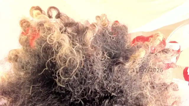 Brit weston online show from 02.11.26