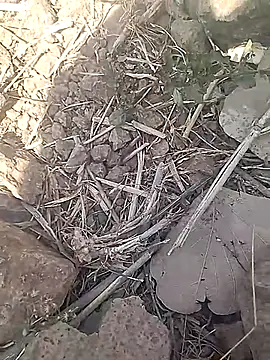 Cute Boy 4 online show from 02.18.26