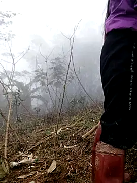 Tina-beo online show from 03.21.26