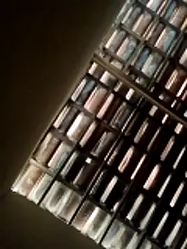 lorraine2036 online show from 02.22.26