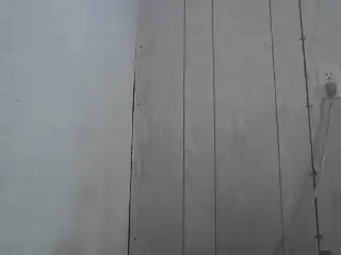 Prikev38452 online show from 04.01.26