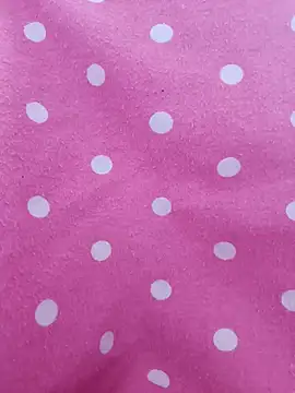 Snapshot of baipal74 chatting on 02.15.26 baipal74 online show from 02.15.26