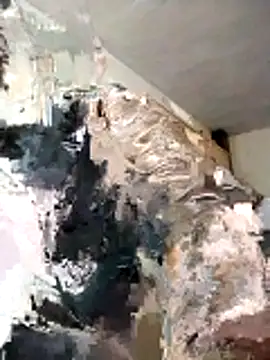 BoxedDitty online show from 02.21.26