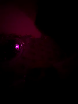 Raj teluguboy online show from 03.06.26