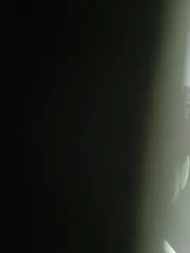 Snapshot of Gordinho_dos_pes chatting on 02.25.26 Gordinho dos pes online show from 02.25.26