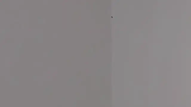 Lilith pink29 online show from 02.03.26