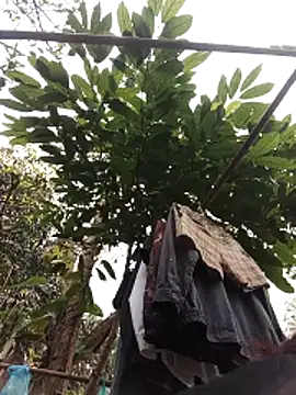 Small flower1 online show from 02.11.26