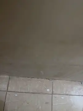 torchermachine online show from 04.18.26