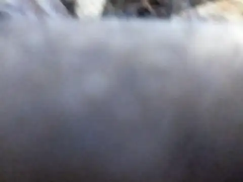 Snapshot of Joecool1009 chatting on 02.03.26 Joecool1009 online show from 02.03.26