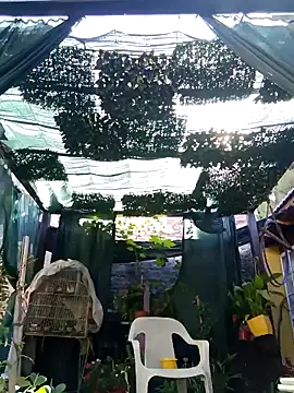 gordorichard online show from 02.21.26