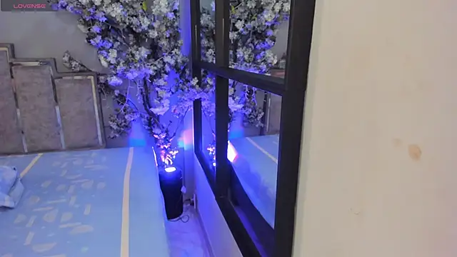 Nalapalmer online show from 02.07.26