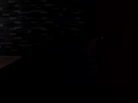 Snapshot of PennyUni chatting on 02.13.26 PennyUni online show from 02.13.26