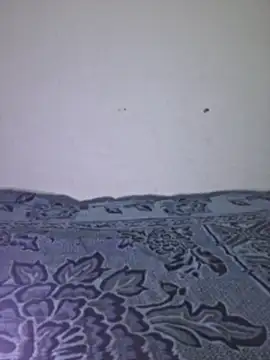 Sakeemaxxy online show from 04.13.26