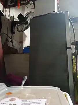 Snapshot of Wildcam21 chatting on 02.24.26 Wildcam21 online show from 02.24.26