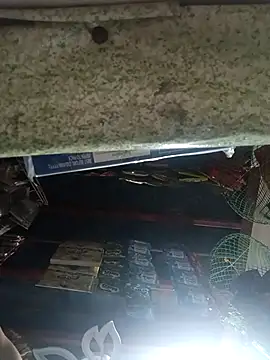 Wildcam21 online show from 03.17.26