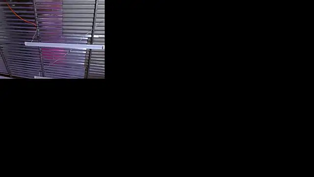 Snapshot of sophi_and_coby chatting on 05.02.26 sophi and coby online show from 05.02.26
