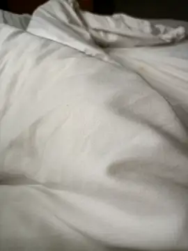 lucky9161 online show from 02.17.26