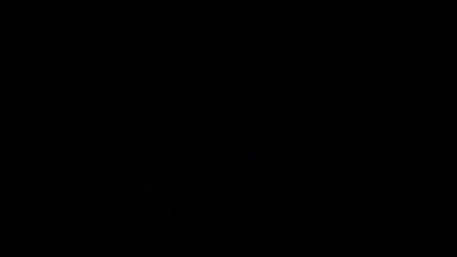 dixiedevin online show from 04.22.26