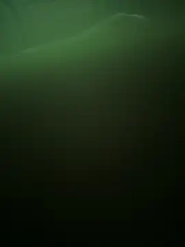 Apollonios5 online show from 04.11.26