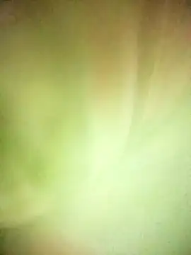 BIG QWEEN NO1 online show from 02.20.26