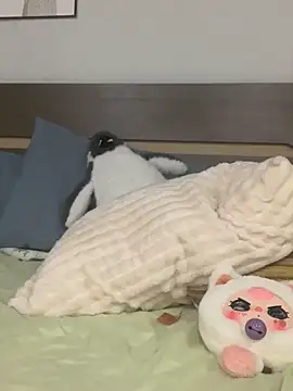 Rin-yiyi online show from 03.08.26