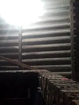 Linka998 online show from 03.16.26