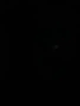 stallone italiano 62 online show from 04.10.26