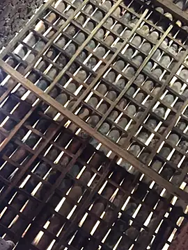 Snapshot of novinhavip777 chatting on 02.09.26 novinhavip777 online show from 02.09.26