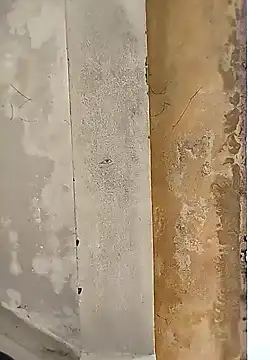 loyalboy 0052 online show from 02.08.26