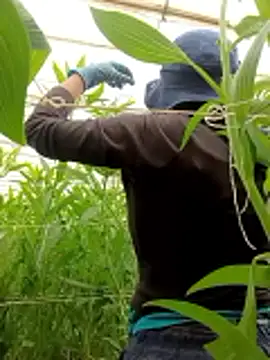 Snapshot of Abigail_office chatting on 02.13.26 Abigail office online show from 02.13.26