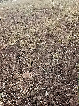 yusu 3 online show from 02.23.26