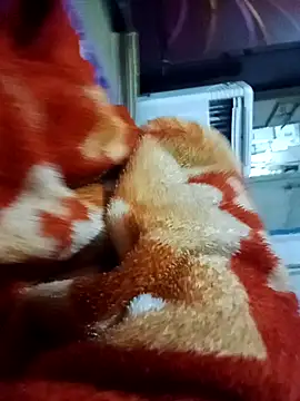 yusu 3 online show from 03.19.26