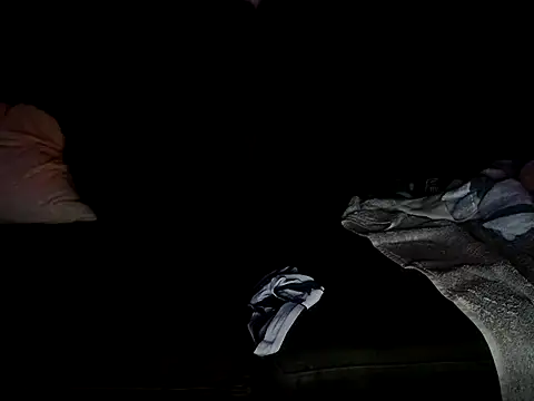 Snapshot of U1ZF chatting on 02.14.26 U1ZF online show from 02.14.26