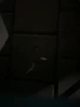 Darkhotcouple online show from 02.14.26