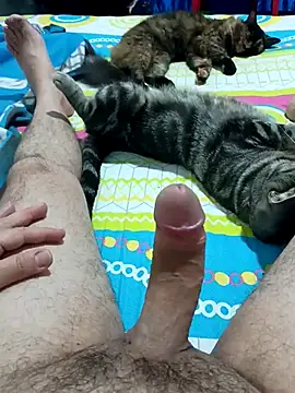 JFC161612 online show from 04.07.26