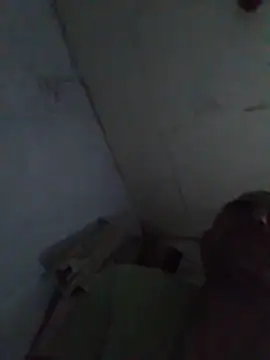 Snapshot of cobrosdepagos chatting on 05.17.26 cobrosdepagos online show from 05.17.26