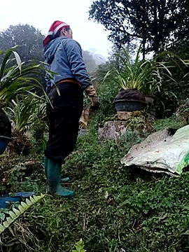 Snapshot of nelina_12345 chatting on 02.13.26 nelina 12345 online show from 02.13.26