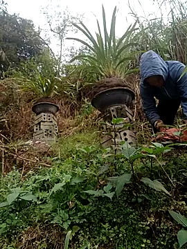 Snapshot of nelina_12345 chatting on 02.15.26 nelina 12345 online show from 02.15.26