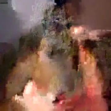 Snapshot of tubellaflor chatting on 03.01.26 tubellaflor online show from 03.01.26