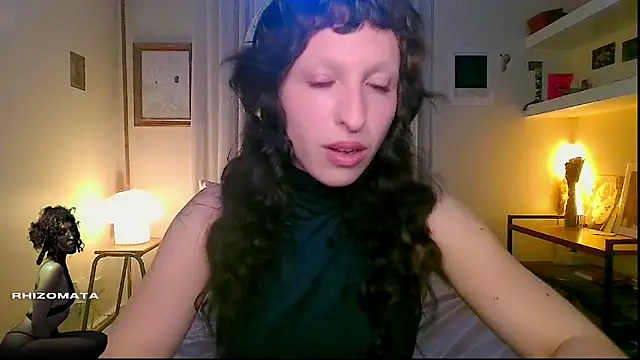 Snapshot of rhizomata chatting on 06.30.26 rhizomata online show from 06.30.26