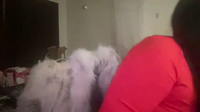 FarahKatt online show from 02.14.26