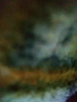 Avinh 09 online show from 02.15.26