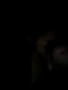 Egypt1000 online show from 03.27.26