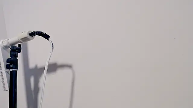 Snapshot of MARYXS1 chatting on 02.24.26 MARYXS1 online show from 02.24.26