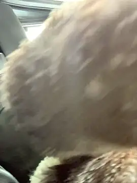 Emily-Fire online show from 03.05.26