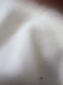 Snapshot of Jaybraconect chatting on 02.21.26 Jaybraconect online show from 02.21.26