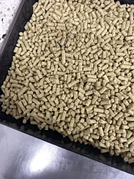 Snapshot of Elmanc chatting on 02.26.26 Elmanc online show from 02.26.26