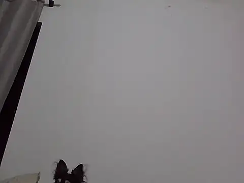 Snapshot of machodotado97 chatting on 03.02.26 machodotado97 online show from 03.02.26