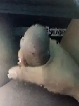 taherDzzf online show from 03.13.26