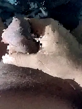 taherDzzf online show from 03.23.26